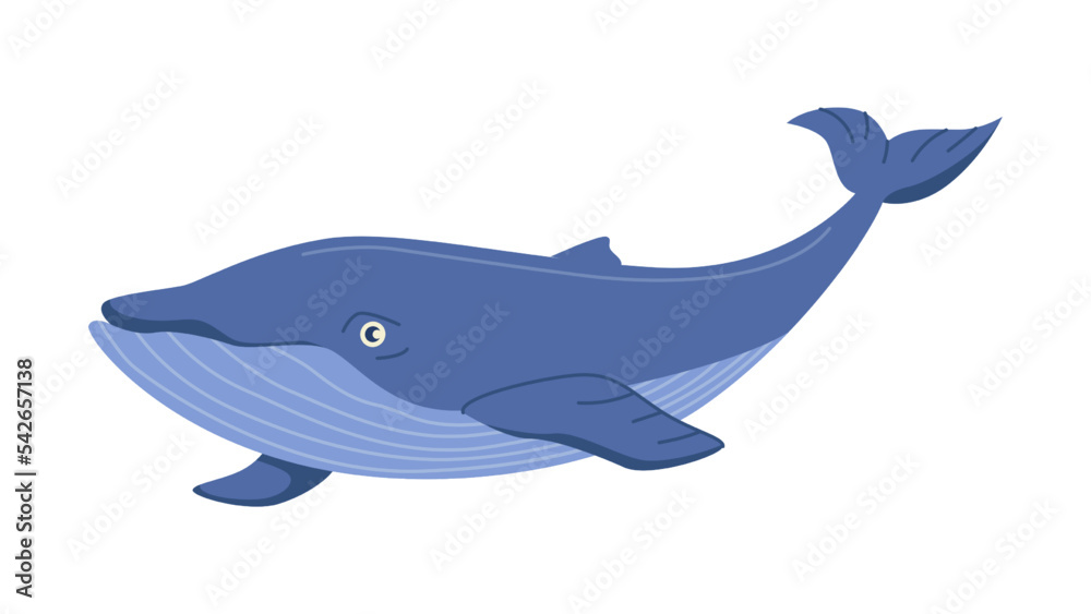 Whale floating in water, isolated underwater animals dweller or water in sea or ocean. Marine mammal with tail fin and blowhole. Vector in flat cartoon style