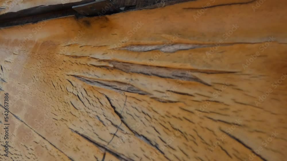 B-roll de una corteza de madera en una pared en plano detalle