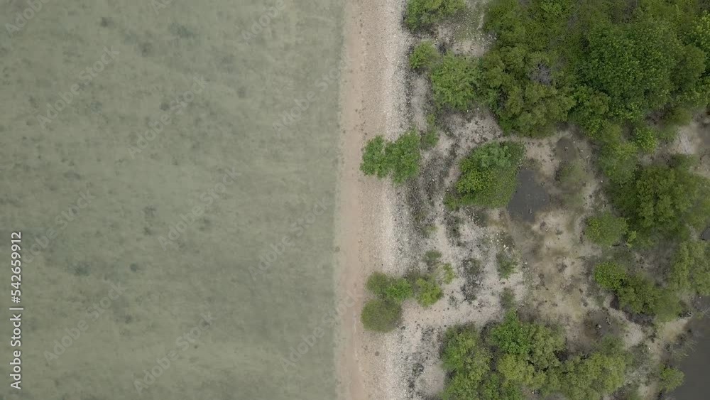 custom made wallpaper toronto digitalAerial Drone Top Down Shot of Coral Island in Sri Lanka
