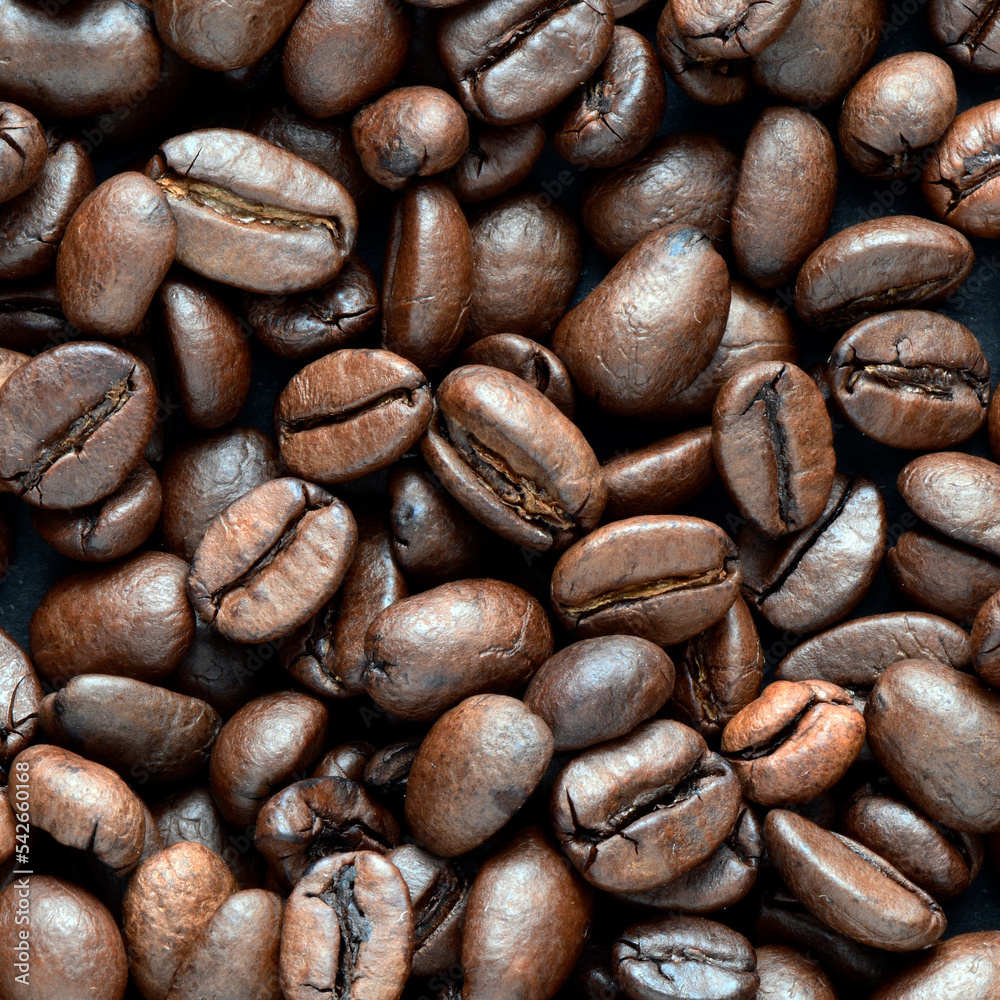 Fototapeta premium Fresh coffee beans scattered as a background or texture.