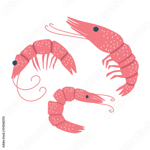Pink shrimps flat vector illustration. Funny hand drawn characters. Adorable sea animals isolated on white background. Clipart for packaging design, printing