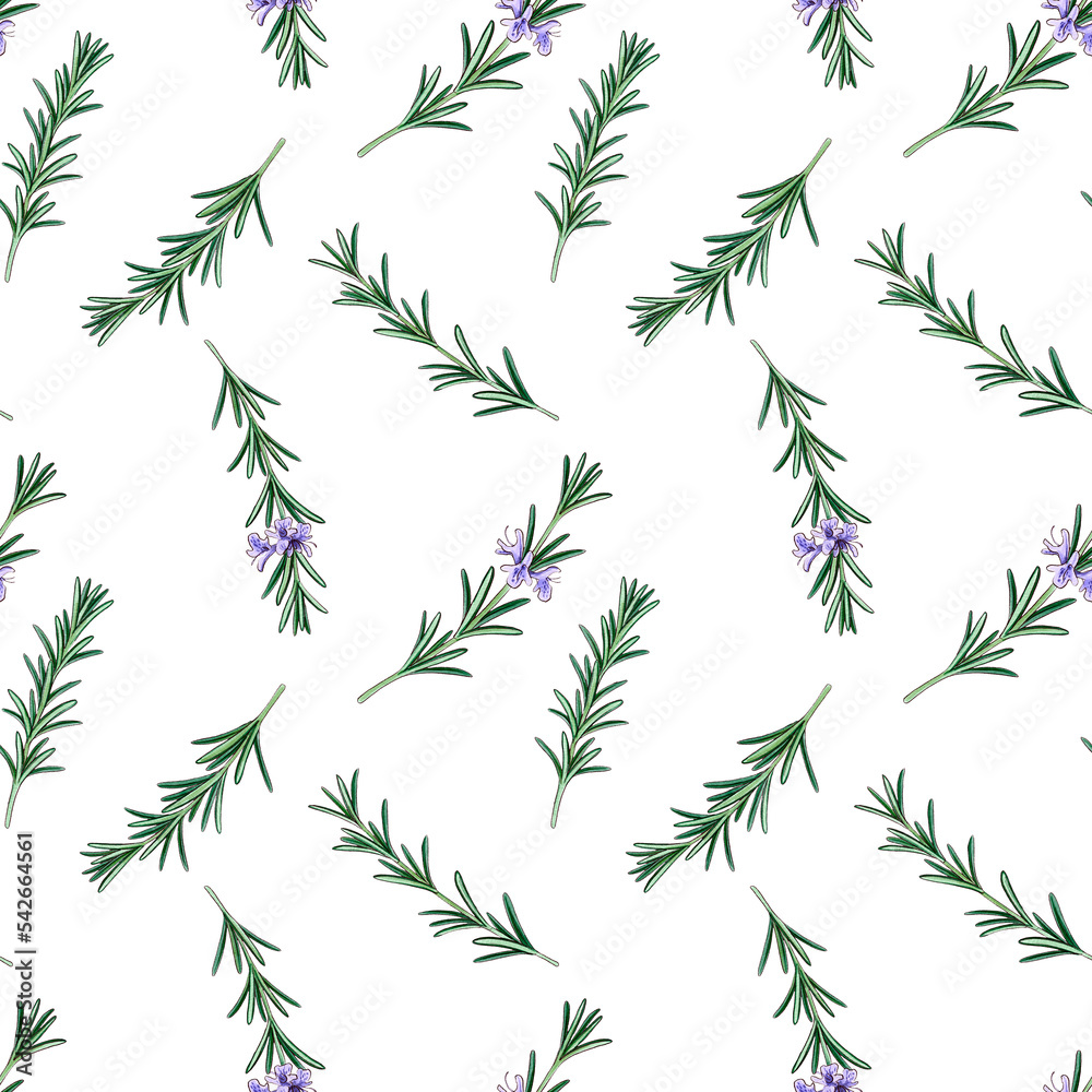 Naklejka premium drawing seamless pattern with rosemary with flowers and green leaves, Salvia rosmarinus, medicinal plants, aromatic herbs, hand drawn illustration
