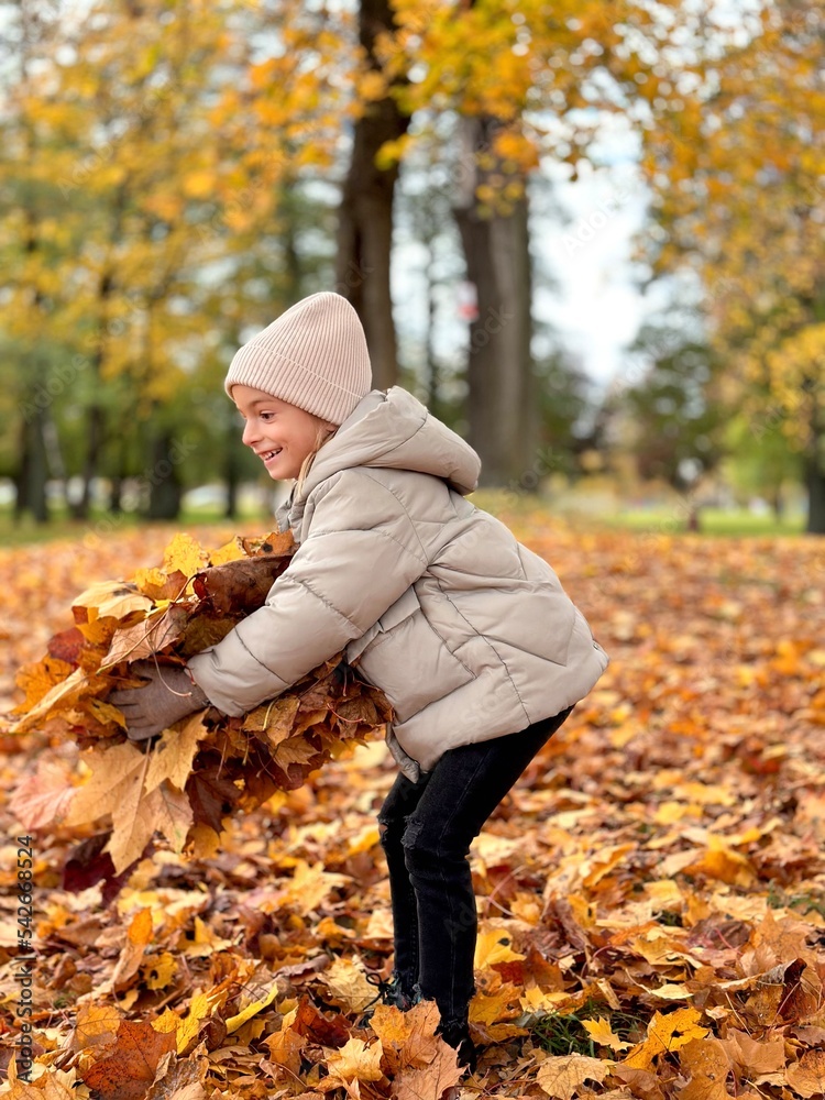 child girl play with yellow autumn leaves. child girl play with yellow autumn leaves.