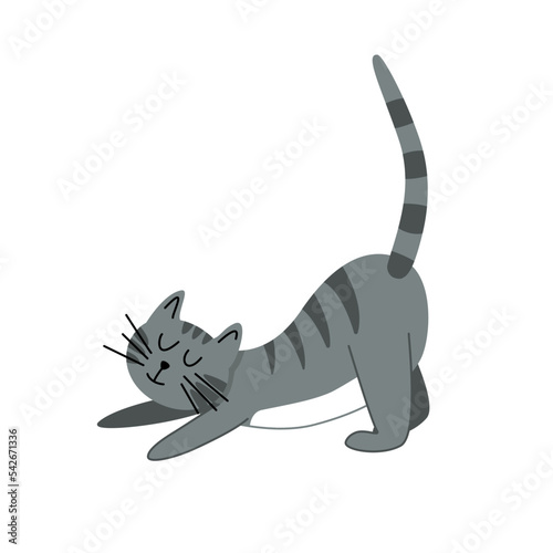 Lazy gray striped cat. Kitten. Flat, cartoon, vector