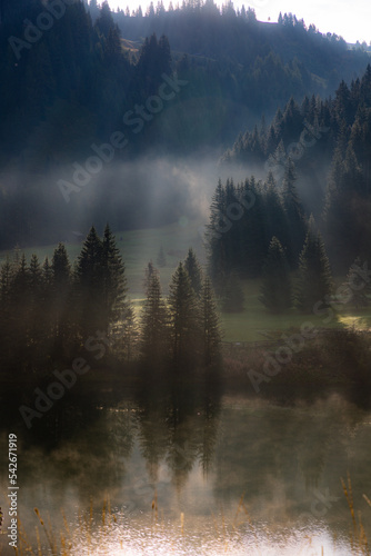 Sunlight through the trees and fog over a pond at Corvara in Badia, Italy
