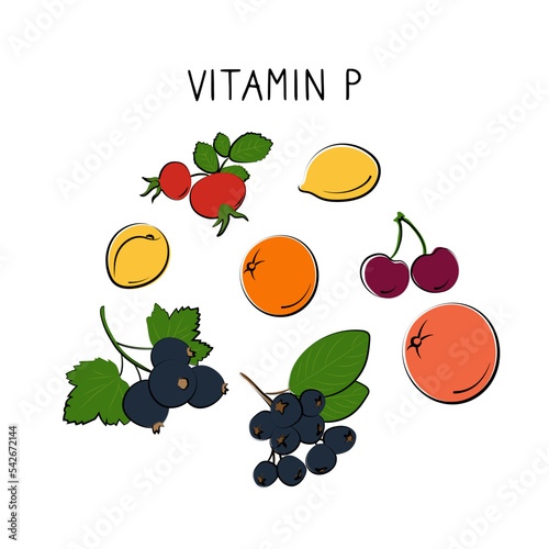 Vitamin P bioflavonoids. Groups of healthy products containing vitamins and minerals. Set of fruits, vegetables, meats, fish and dairy. photo
