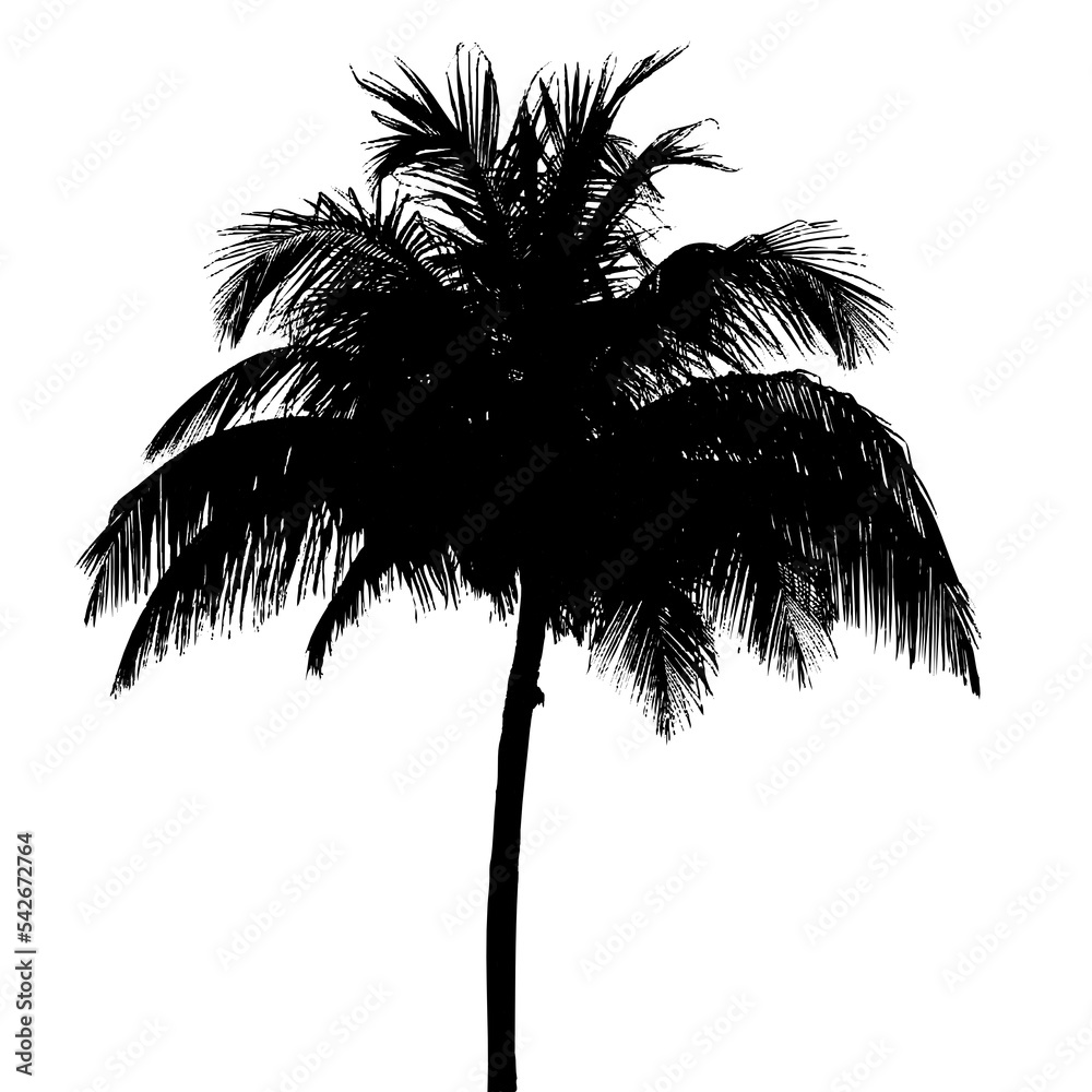 coconut tree and palm tree silhouette design with PNG format Stock ...