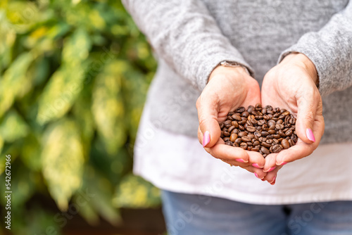 Women's hands holding some coffee beans next to some plants.