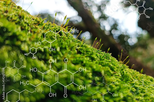 spores green moss on a tree was decorated by transparency chemical structure which can use to biochemical background