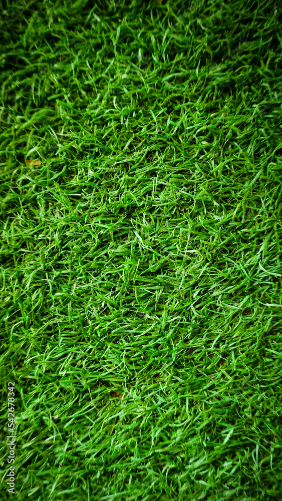 vertical photo of green grass background with blur overlay vertical photo of green grass background with blur overlay