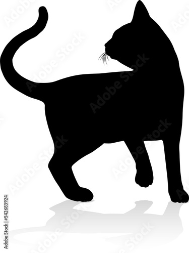 Silhouette Cat Pet Animal