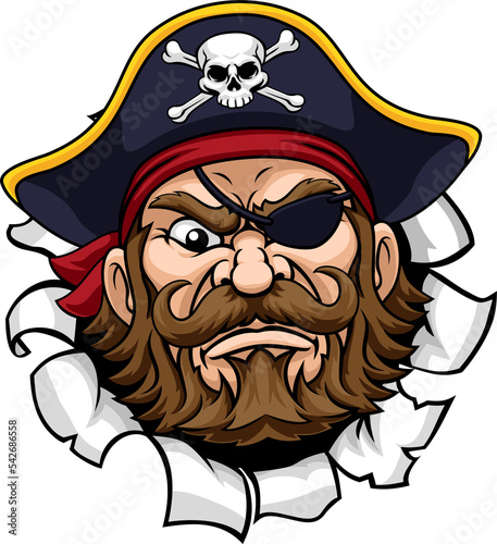 Pirate Captain Cartoon Masc...