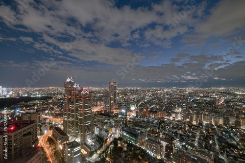 東京都新宿区西新宿から見た都市景観