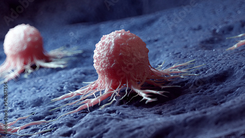 Fotografia medical illustration