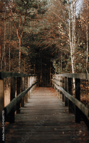 Brücke mit Fluchtpunkt