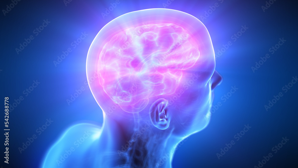 Obraz premium medical illustration