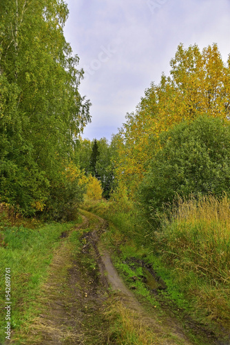 Rural fields in cloudy autumn weather