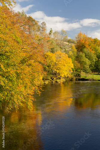 Autumn trees near Lambley in Northumberland photo