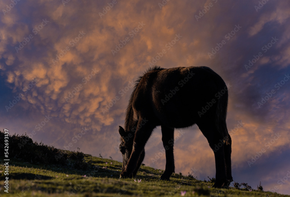 Fototapeta premium Autumn sunsets in the mountains!