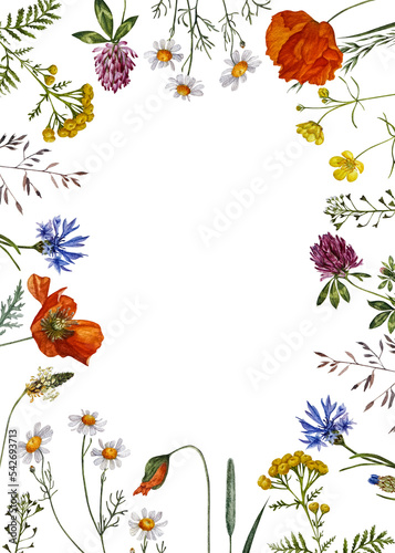 Wildflowers frame. Watercolor floral border for greeting card and invitation. Blank space for your text. Hand-painted botanical illustration for wedding, birthday and other printing projects © Jul