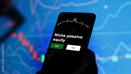 Photos An investor's analyzing the niche passive equity etf fund on screen