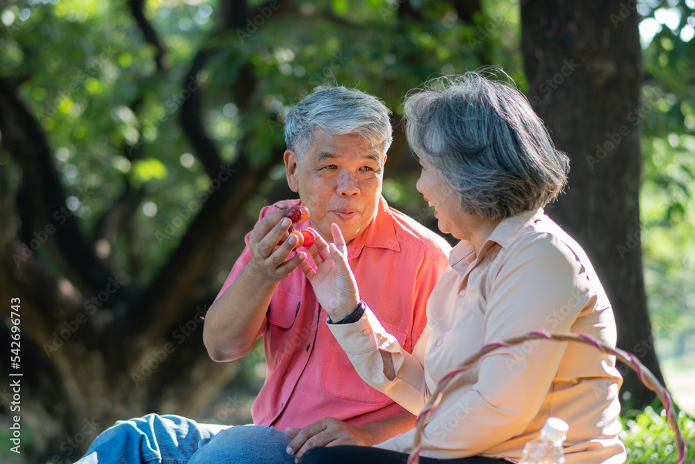 Obraz premium Happy old elderly couple spouses relaxing and sitting on a blanket in the park and sharing few precious memories. Senior couple having great time together on a picnic. concept of mature relationships
