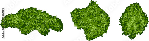 Set of green moss islands or forest lichen with realistic texture isolated on white background. Marsh plants, bog flora. Vector illustration