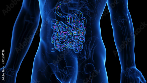 Canvas Print medical illustration