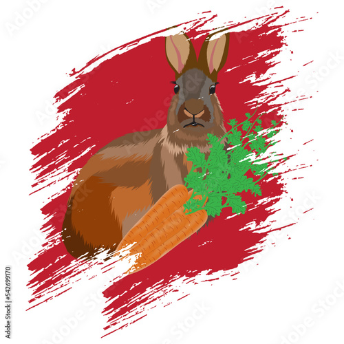 Rabbits, also known as bunnies or bunny rabbits, are small mammals in the family Leporidae (which also contains the hares) of the order Lagomorpha (which also contains the pikas).