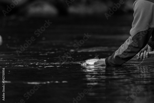 black and white photo of a hand holding a trout