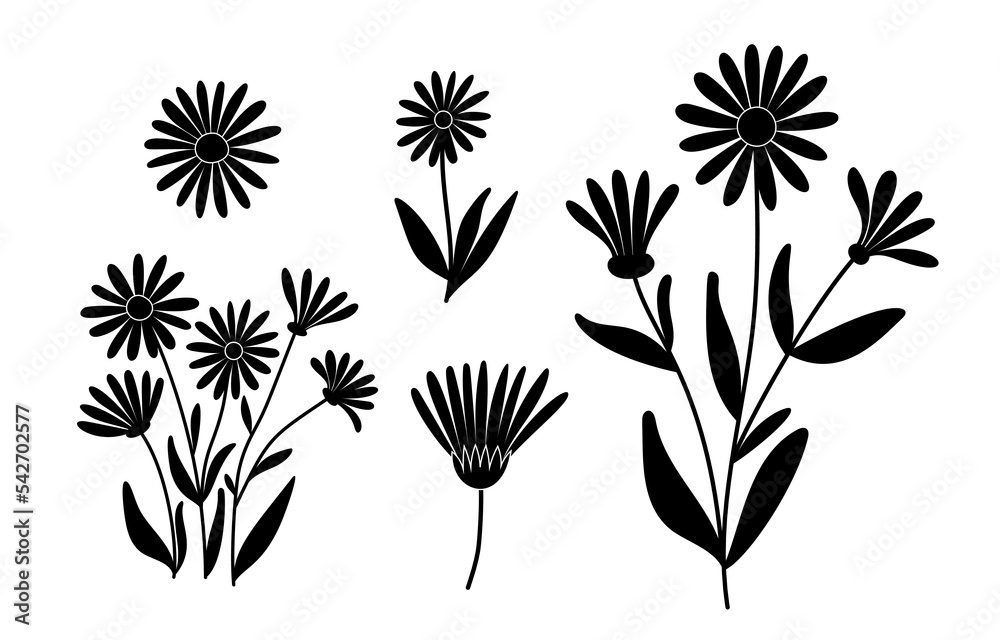 Set of  calendula, silhouettes of wild flowers, vector clipart