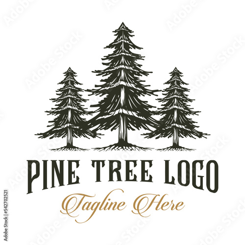 Logo Design Pine tree illustration The concept of tall pine trees in a row