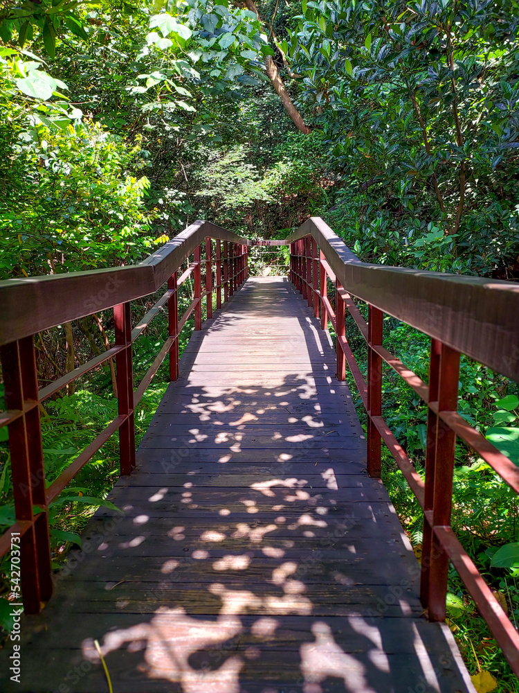 WOODEN HIKING TRAIL IN THE DEEP MOUNTAINS WOODEN HIKING TRAIL IN THE DEEP MOUNTAINS