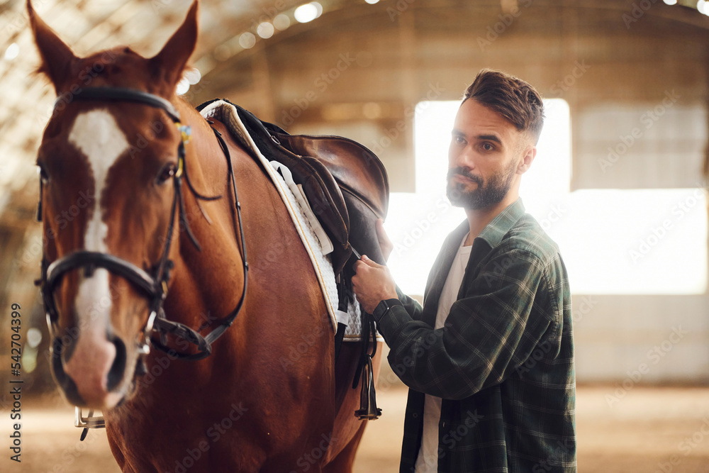 Installing the saddle. Young man with a horse is in the hangar Installing the saddle. Young man with a horse is in the hangar