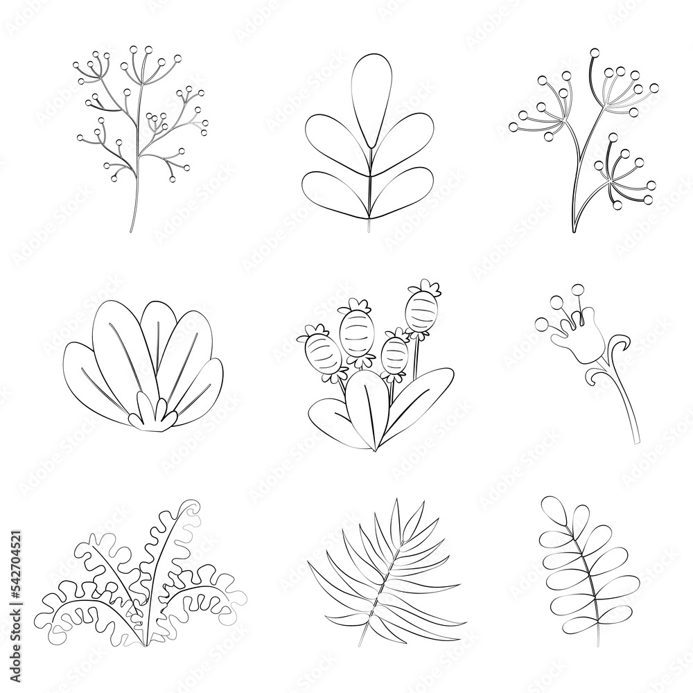 A set of floral elements with a thin line A set of floral elements with a thin line