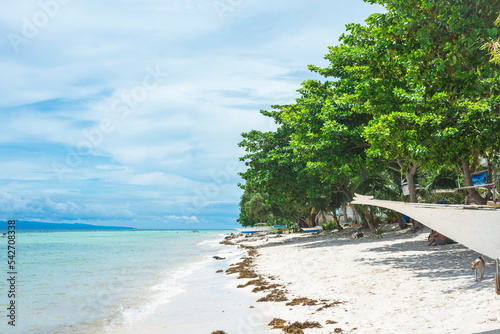 Fishing boats parked in Libaong Beach, Panglao, Bohol, Philippines. photo