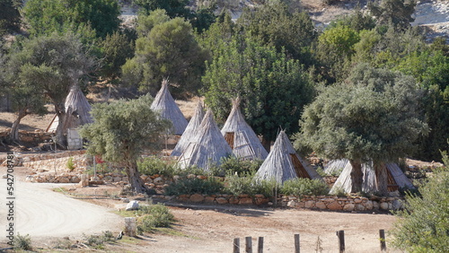 Camping site by the Mediterranean Sea. Green tourism.  Akamas peninsula, Cyprus photo