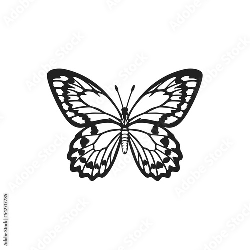 Realistic Golden Birdwing butterfly illustration. Beauty butterfly sticker