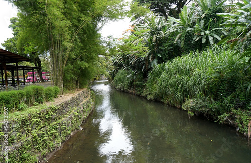 tropical garden atmosphere in a public park         