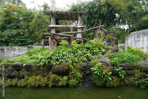 tropical garden atmosphere in a public park         