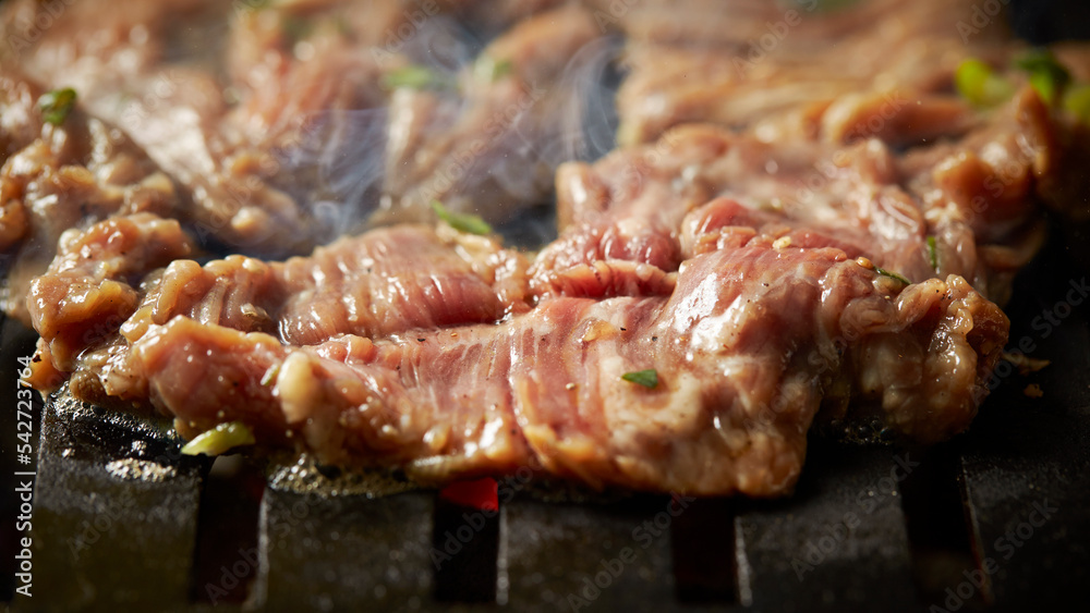 close up of grilled meat