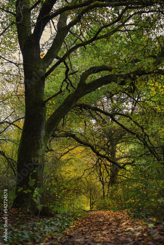 Herbstfarben Marburg Lahn