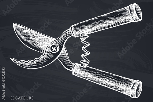 Gardening hand drawn vector illustrations collection. Chalk secateurs.
