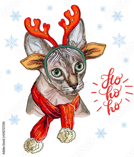 Vector illustration cat in scarf and deer antlers