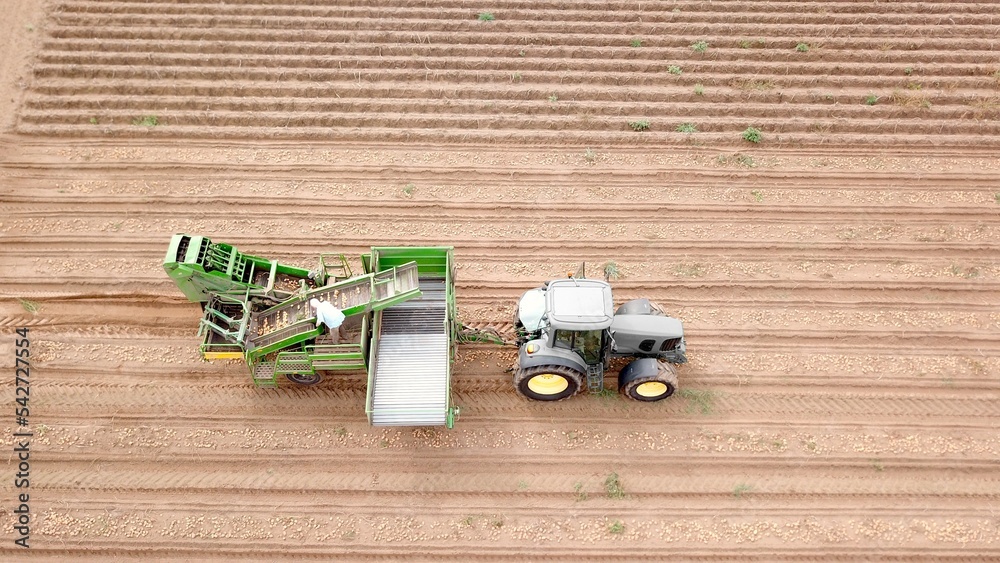 Traktor mit Erntemaschine, Landwirtschaft, Kartoffelanbau, Luftbild ...