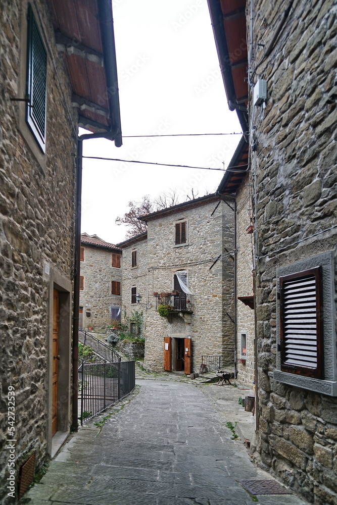 Glimpse of the ancient medieval village of Raggiolo, Tuscany, Italy