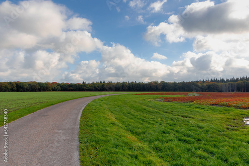 agriculture, asphalt, autumn, background, beautiful, blue, brown, canal, colorful, countryside, dike, dutch, environment, fall, field, foliage, forest, garden, golden, grass, green, holland, horizon, 