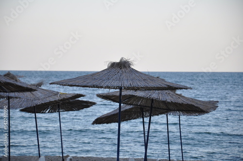 beach  umbrella  sea