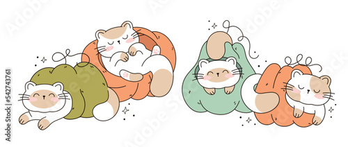 Draw funny cats sleaping in a pumpkins kawaii cat with pumpkin for thanksgiving and autumn fall vector illustration cat character collection. Doodle cartoon style. photo