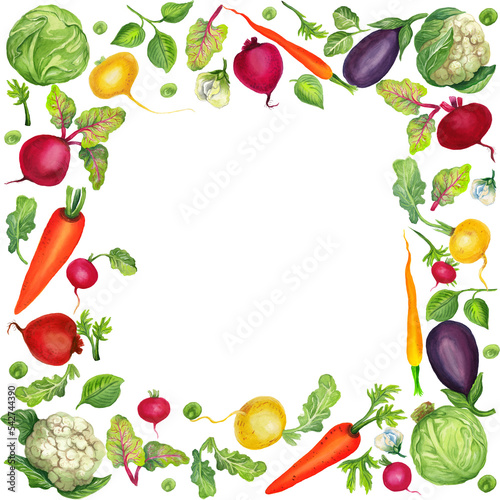 Watercolor frame with vegetables. Transparent layer.